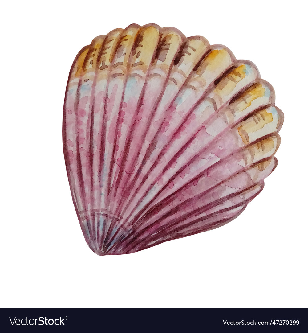 Watercolor Colorful Seashell Hand Drawn Royalty Free Vector