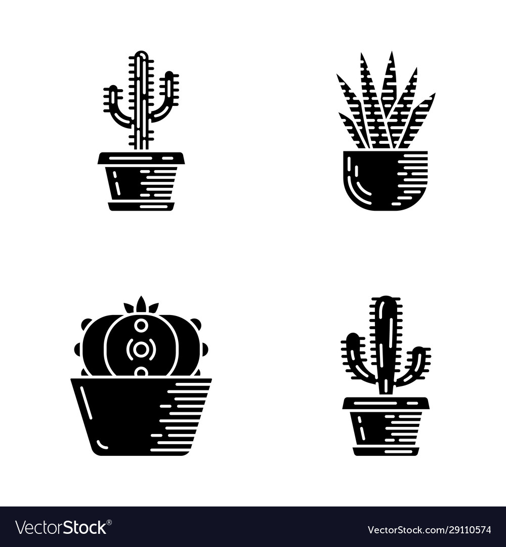 House Cactus In Pot Glyph Icons Set Royalty Free Vector