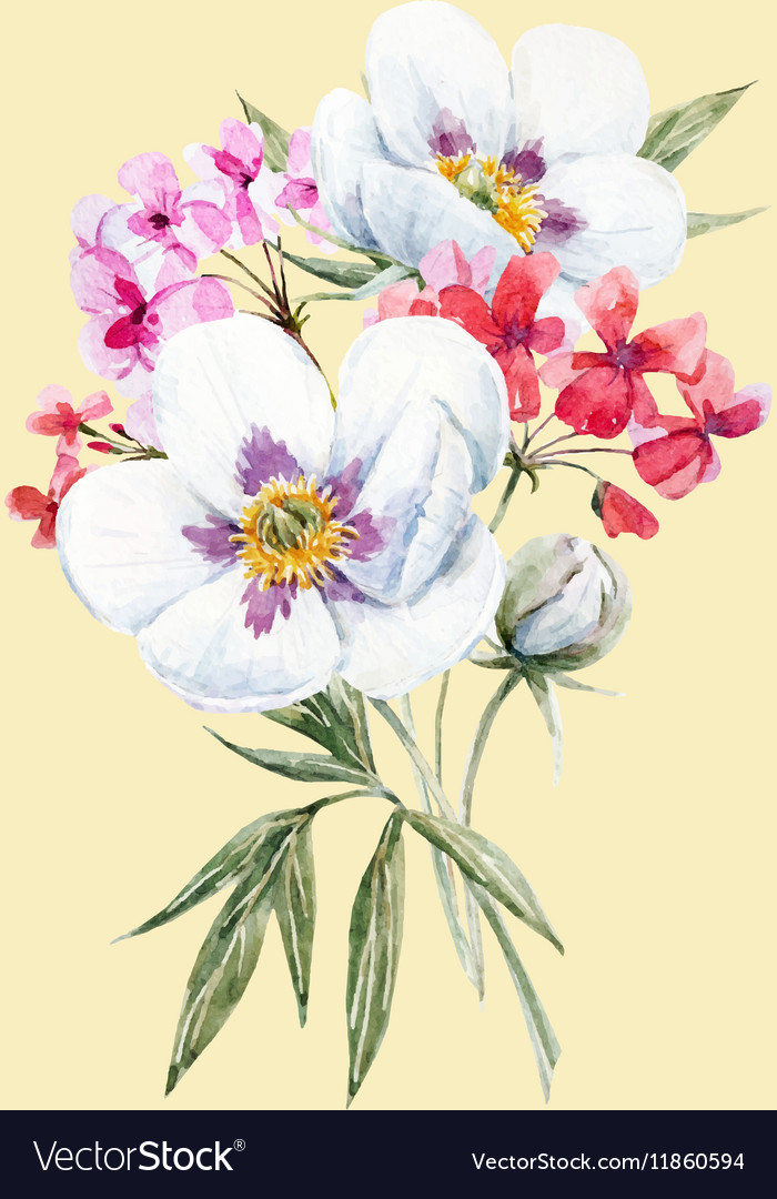 Watercolor Floral Bouquet Royalty Free Vector Image