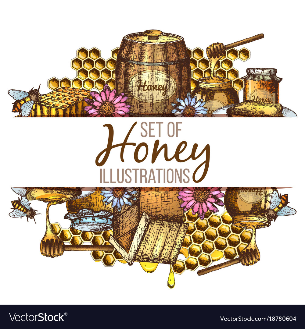 Set Of Honey Sketch Royalty Free Vector Image Vectorstock