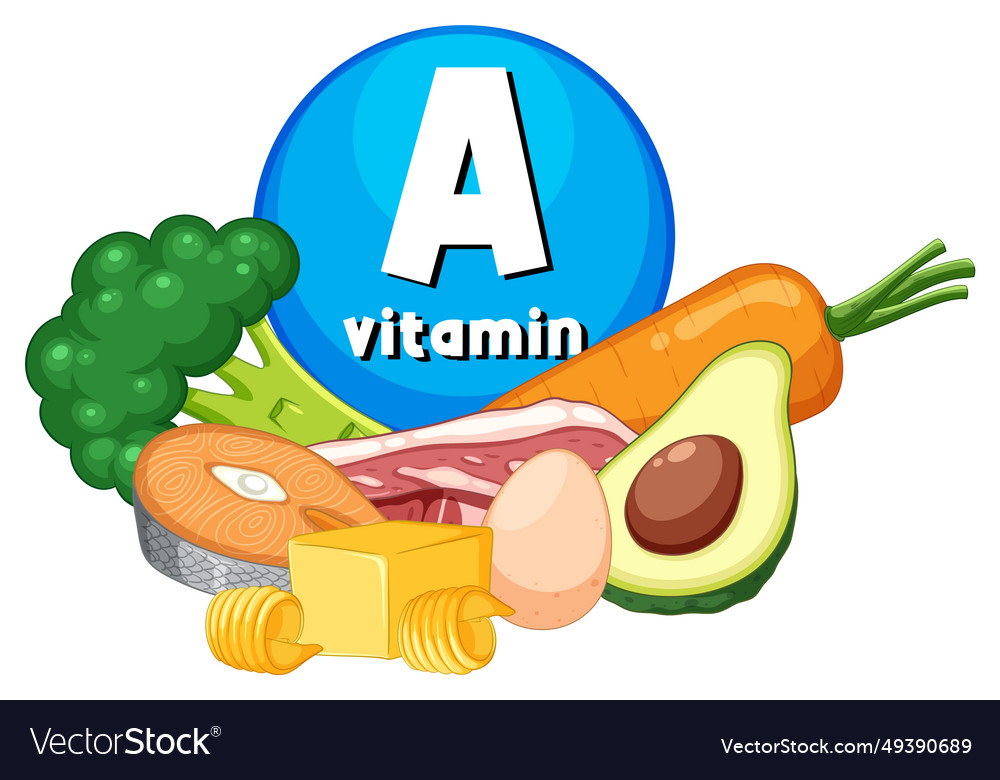 Educational Group Of Food Containing Vitamin A Vector Image