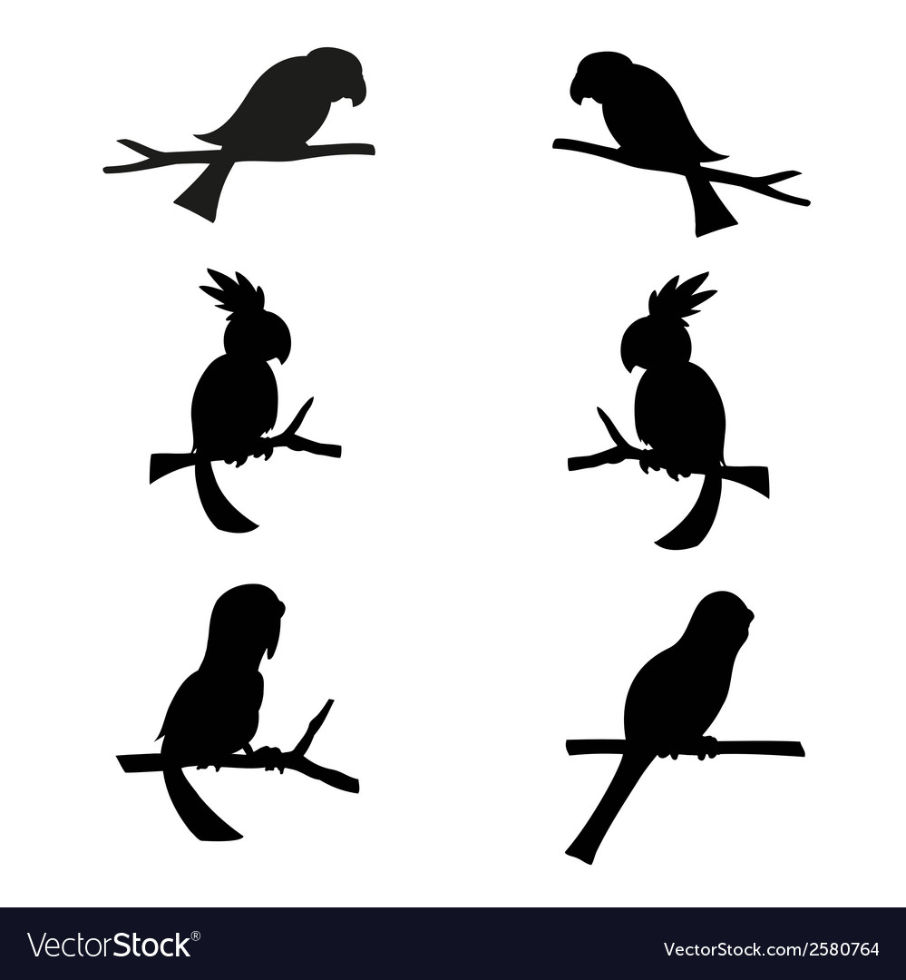 Parrots Silhouettes Royalty Free Vector Image VectorStock