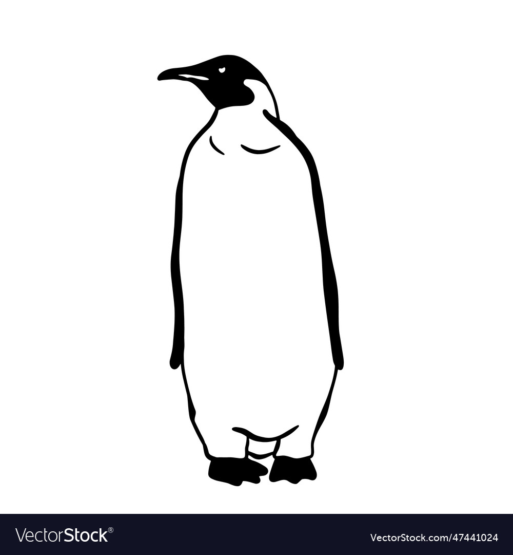 King Penguin Monochrome Royalty Free Vector Image