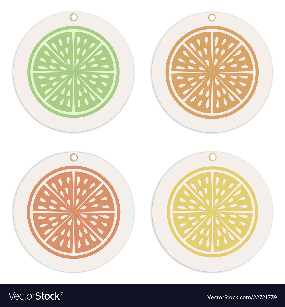 Labels And Tags Collection Citrus Concept Vector Image