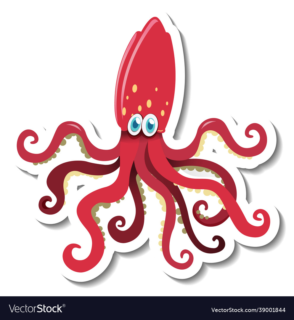 Sticker Template With Squid Cartoon Character Vector Image