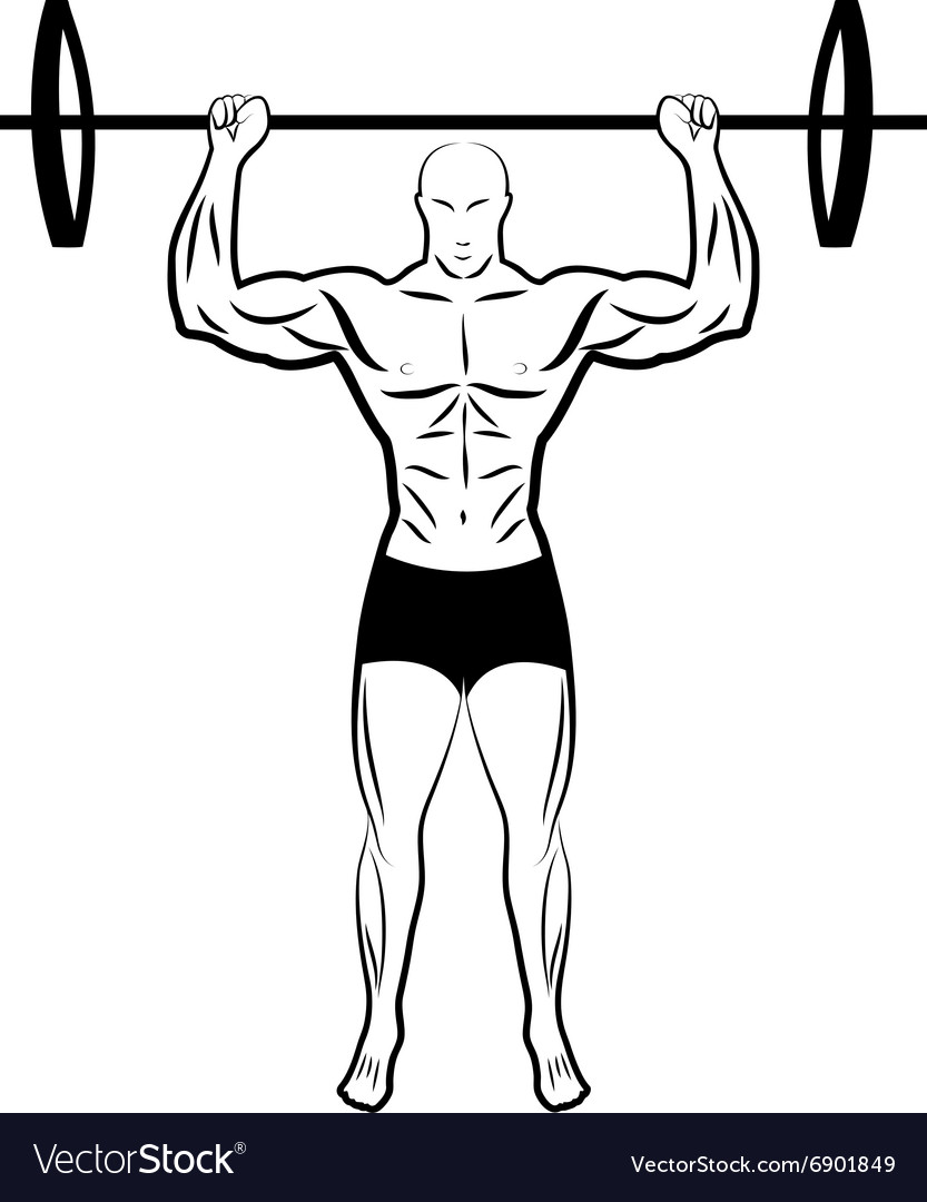 A Man Lifting Barbell Athlete Royalty Free Vector Image