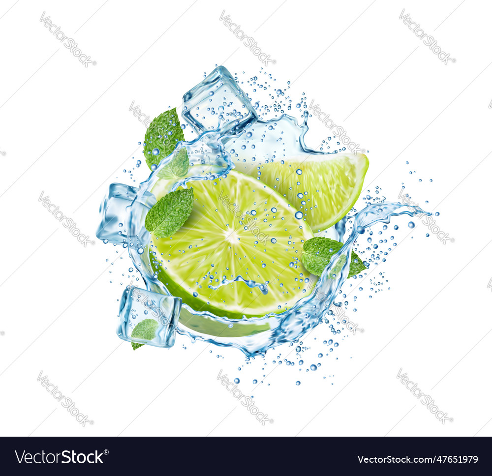 Mojito Drink With Mint Leaves Lime Ice And Splash Vector Image