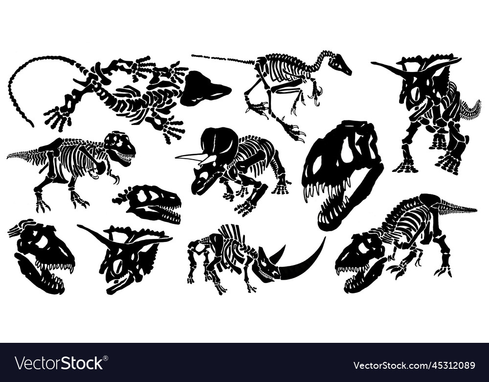 Graphical Set Of Dinosaur Skeletons Isolated Vector Image