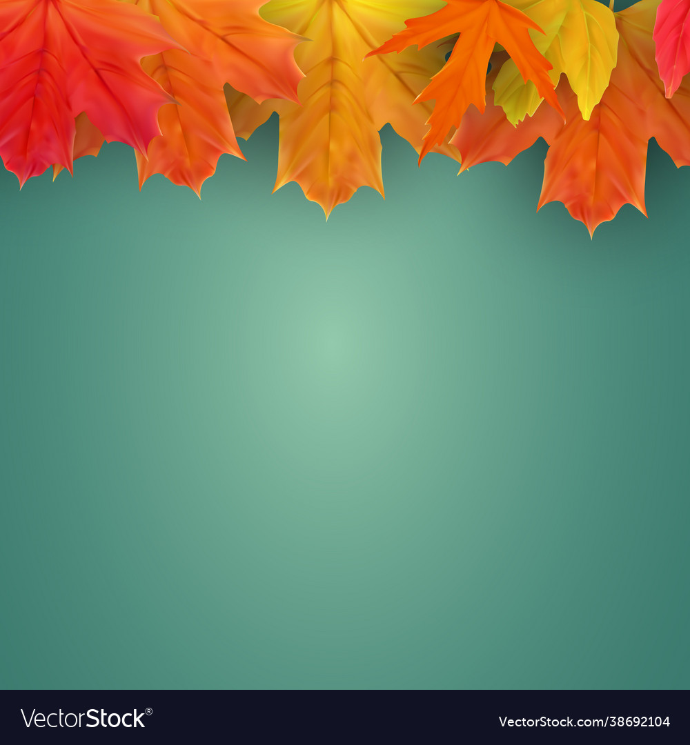 Autumn Natural Background Template With Falling Vector Image