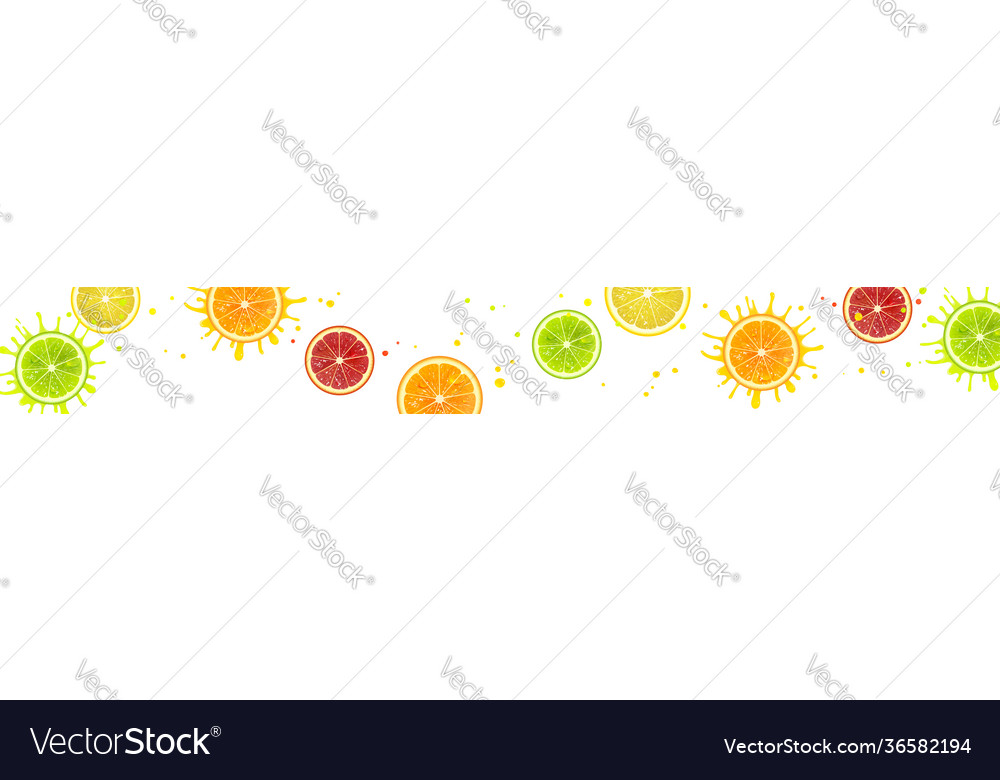 Horizontal Banner With Juicy Citrus Fruits Vector Image