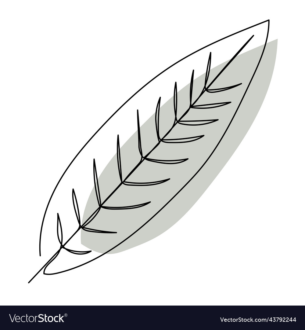 Plant Leaves Line Art Contour Drawing Minimalism Vector Image