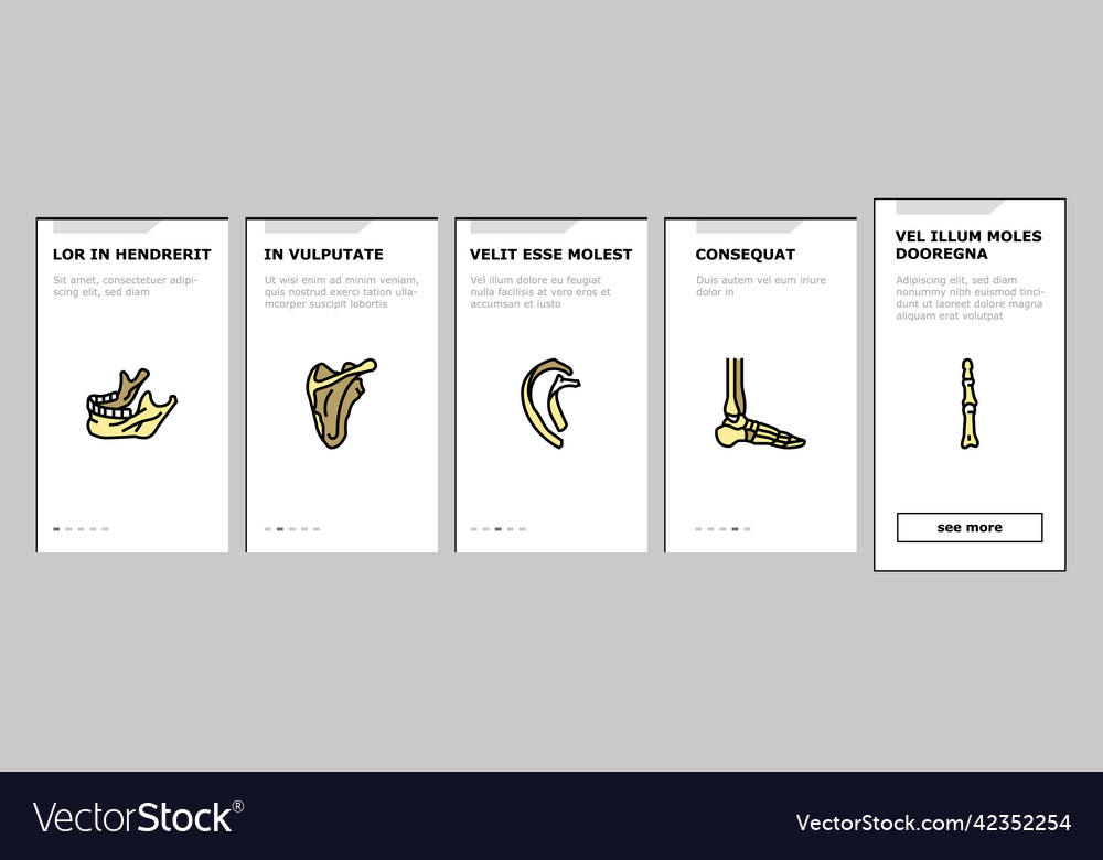 Bone Human Skeleton Structure Onboarding Icons Set