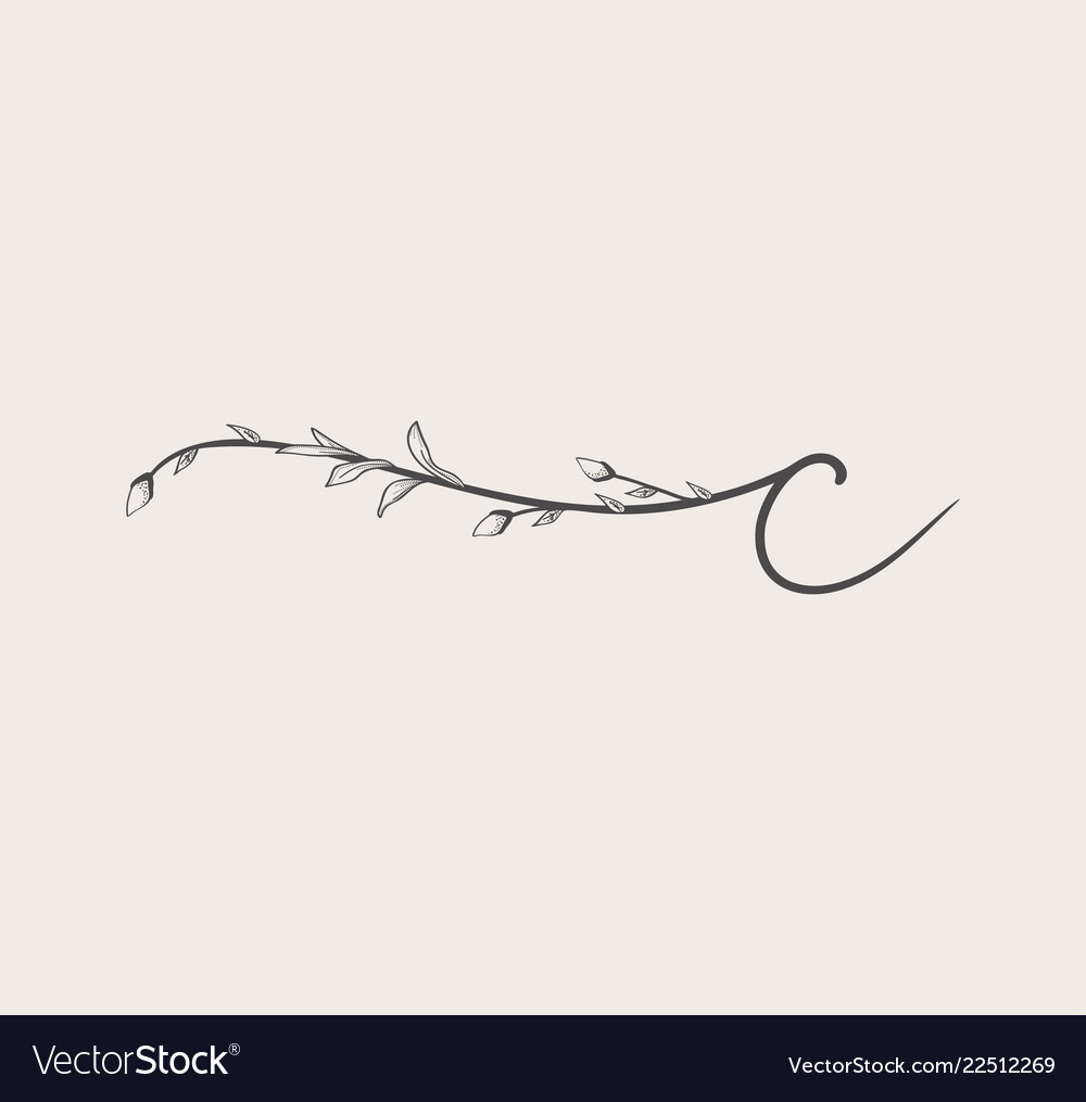 Hand Drawn Floral C Monogram And Logo Royalty Free Vector