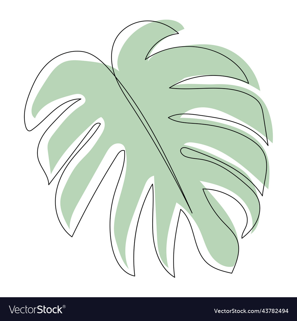 Plant Leaves Line Art Contour Drawing Minimalism Vector Image