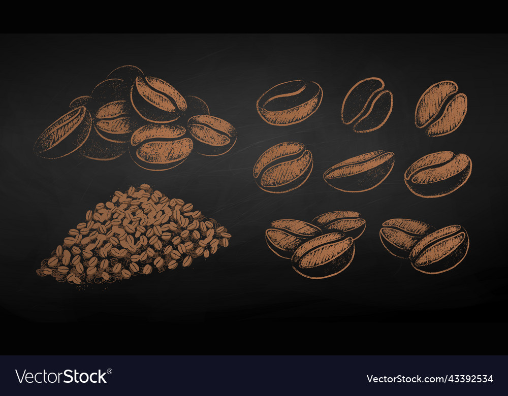 Chalk Drawn Sketches Set Of Coffee Beans Vector Image