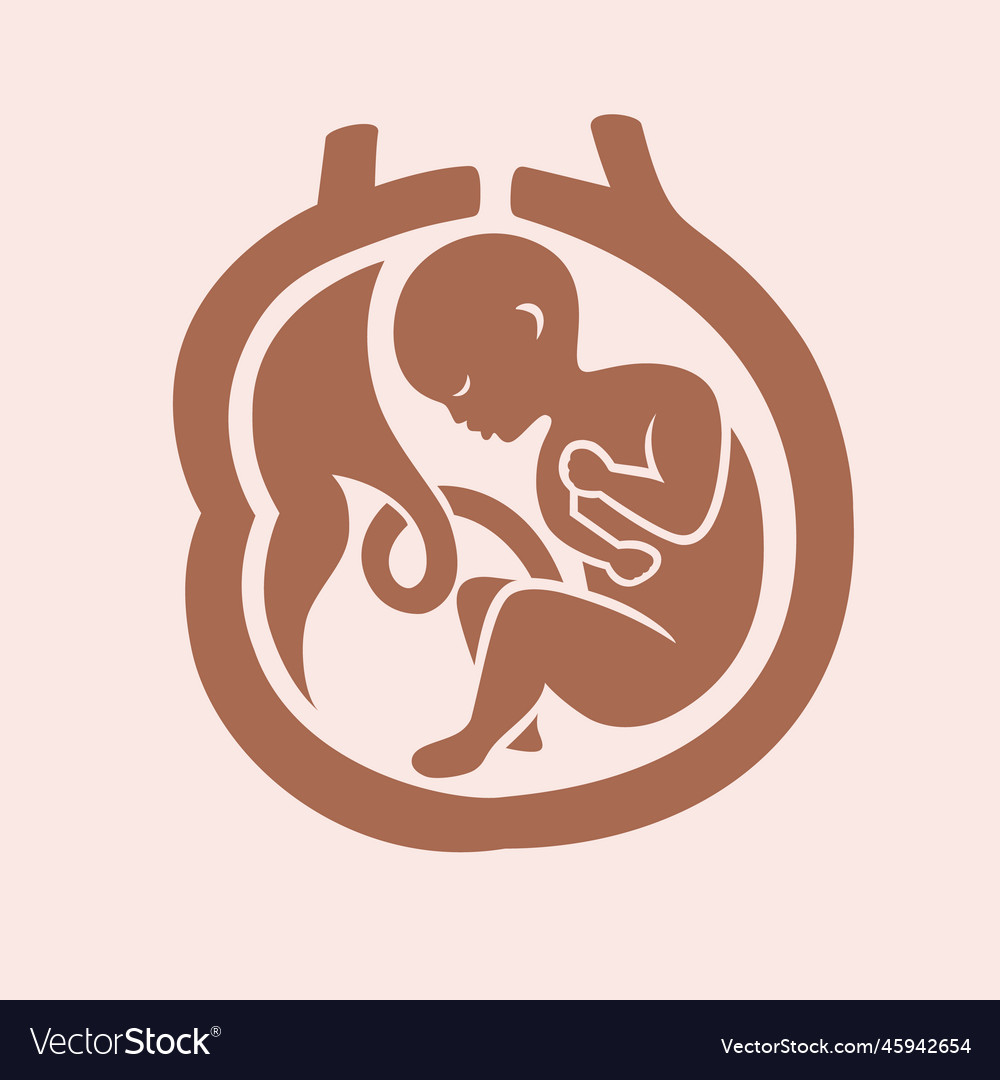 Baby In Mothers Womb Royalty Free Vector Image