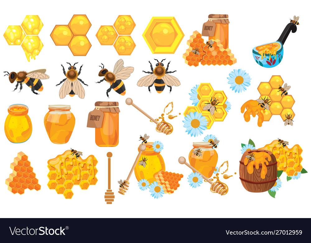 Honey Set Collection Beekeeping Cartoon Royalty Free Vector