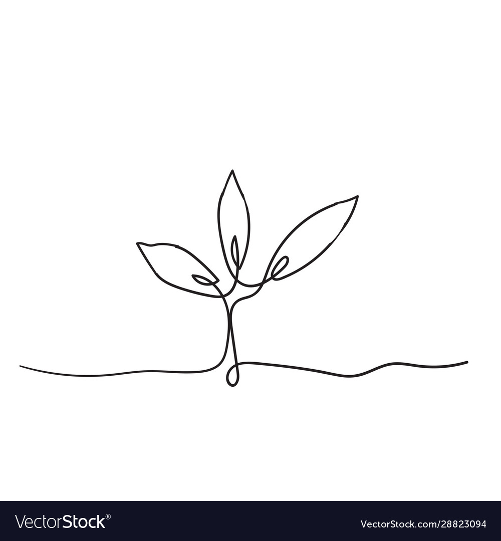 Single Continuous Line Art Growing Sprout Vector Image