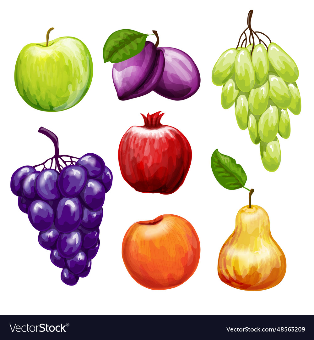 Fruits Icons Set Royalty Free Vector Image Vectorstock