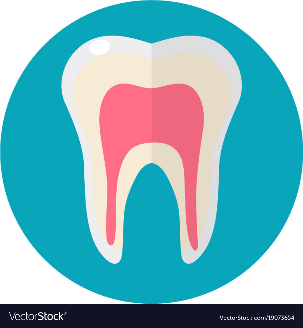 Healthy White Teeth Icon Flat Style Dentistry Vector Image