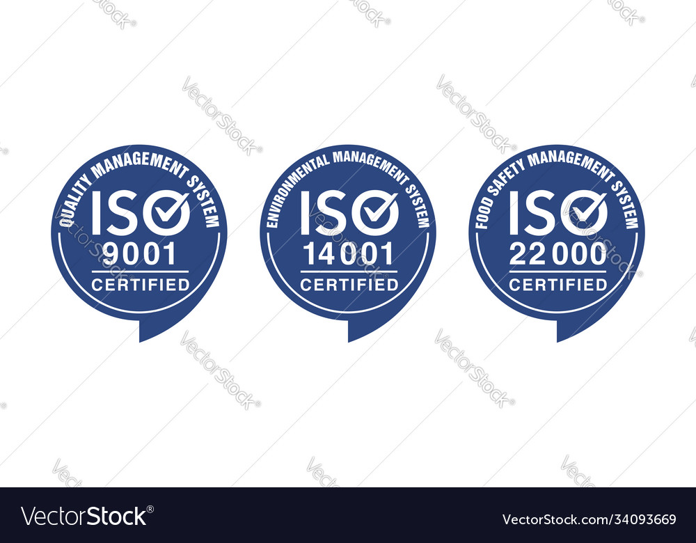 Iso And Certified Stamps Vector Image