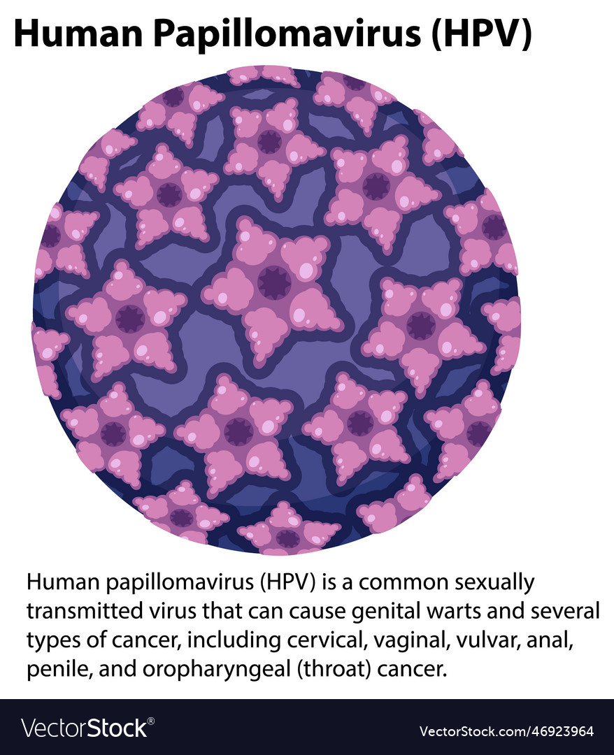 Human Papillomavirus With Explanation Royalty Free Vector