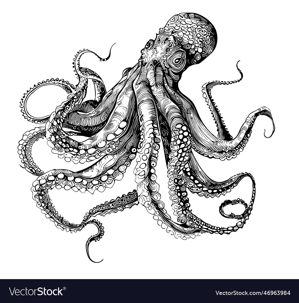 Nautiloid Hand Drawn Sketch In Doodle Style Vector Image