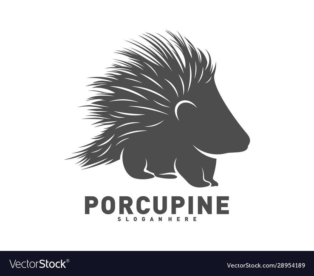 Porcupine Logo Icon Design Royalty Free Vector Image