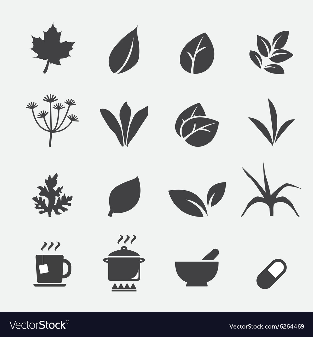 Herb Icon Royalty Free Vector Image VectorStock