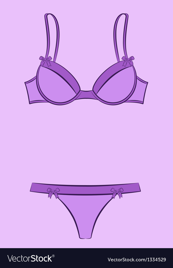 Beautiful Lingerie Royalty Free Vector Image Vectorstock