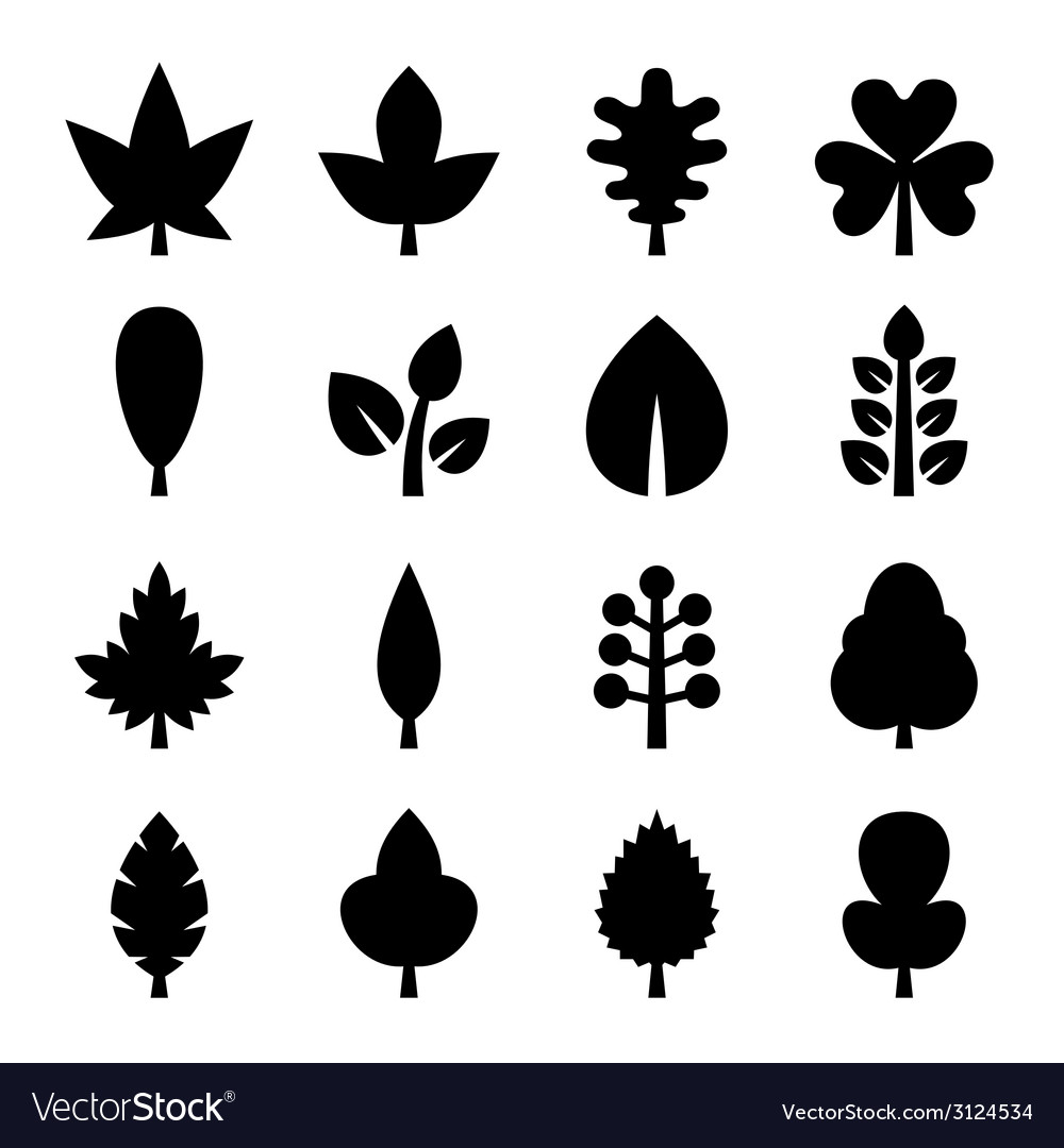 Leaf Icons Set Royalty Free Vector Image Vectorstock