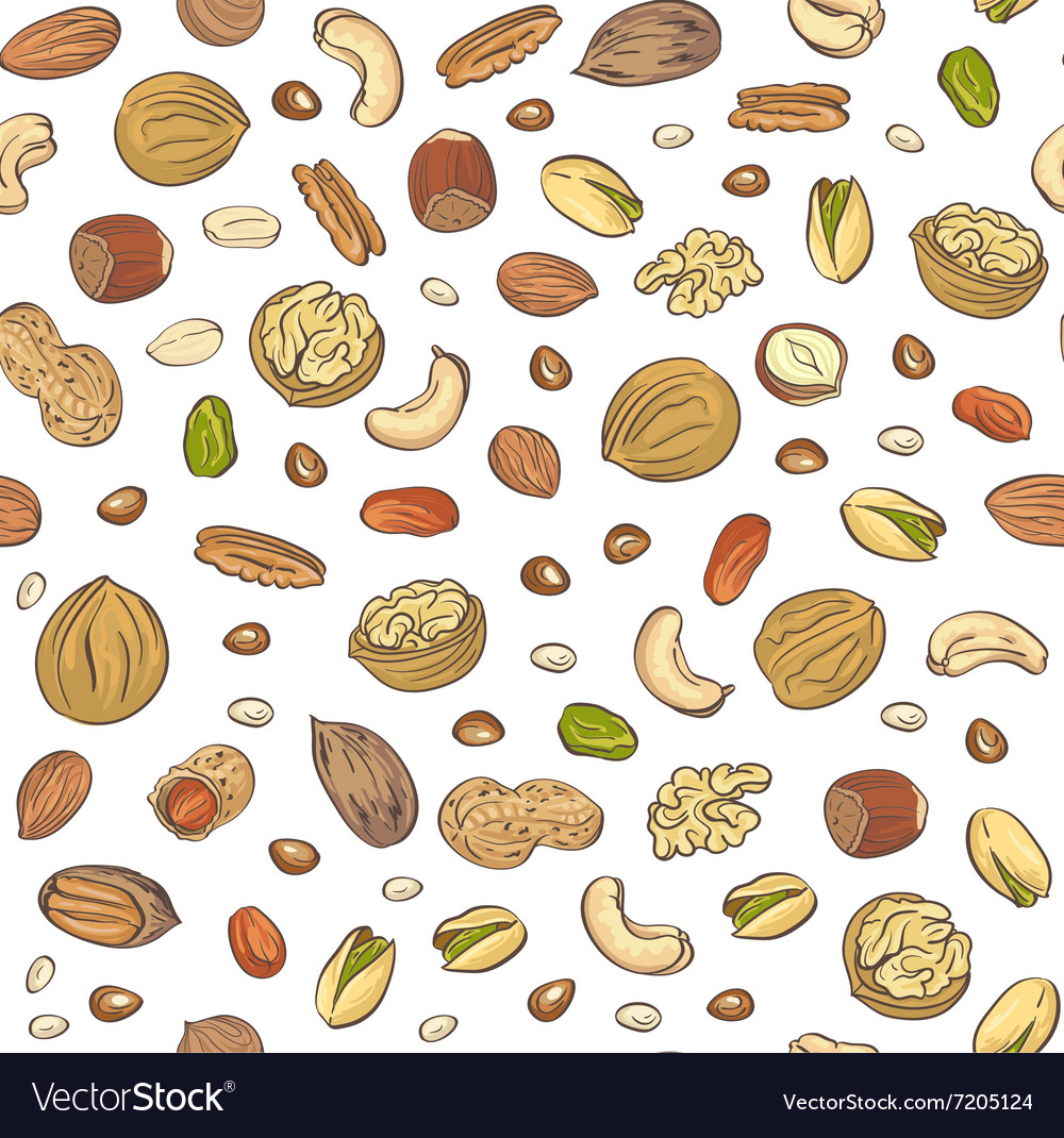 Seamless Pattern Hand Sketched Nuts On White Vector Image