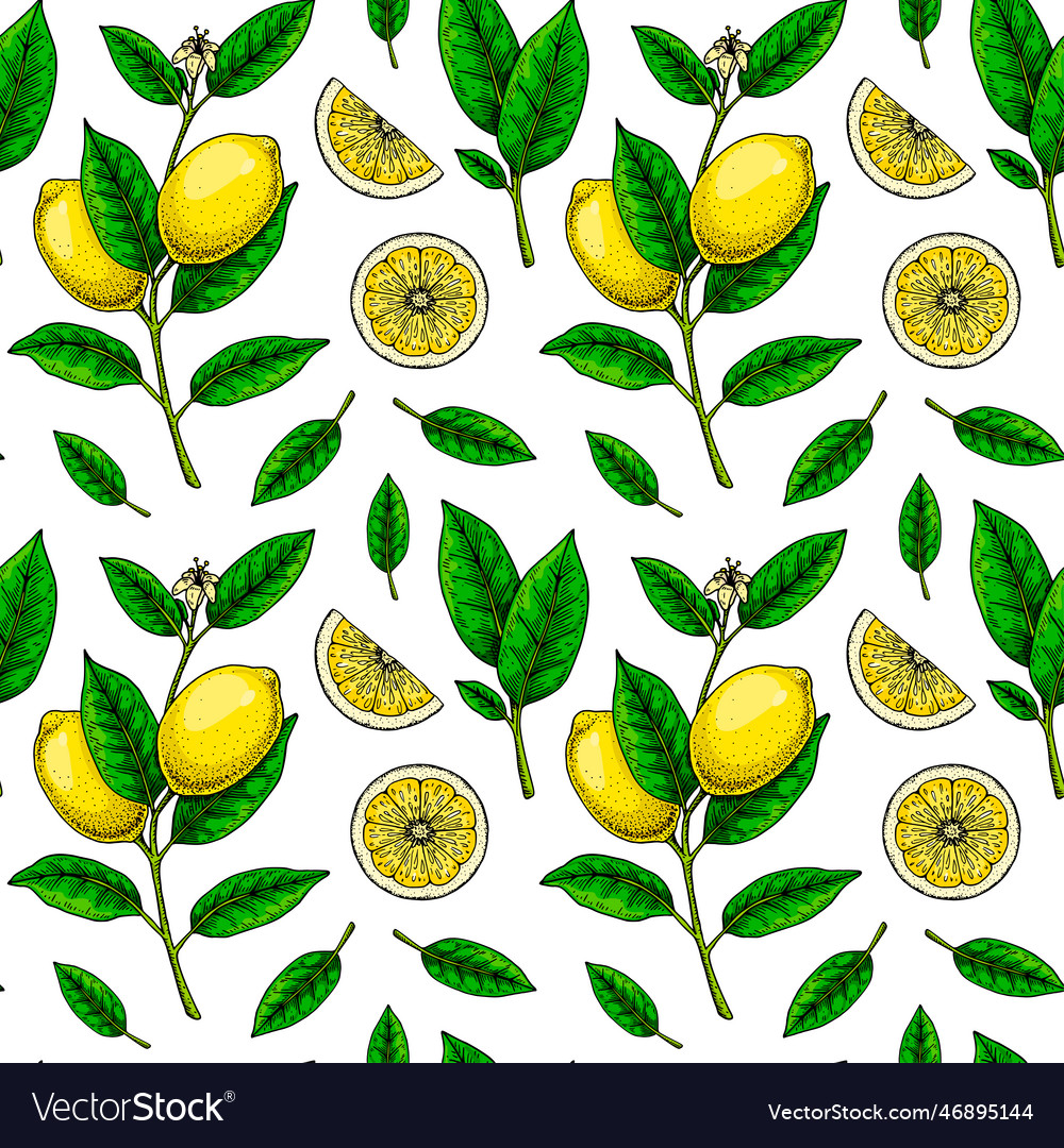 Lemon Seamless Pattern Colorful Hand Drawn Vector Image