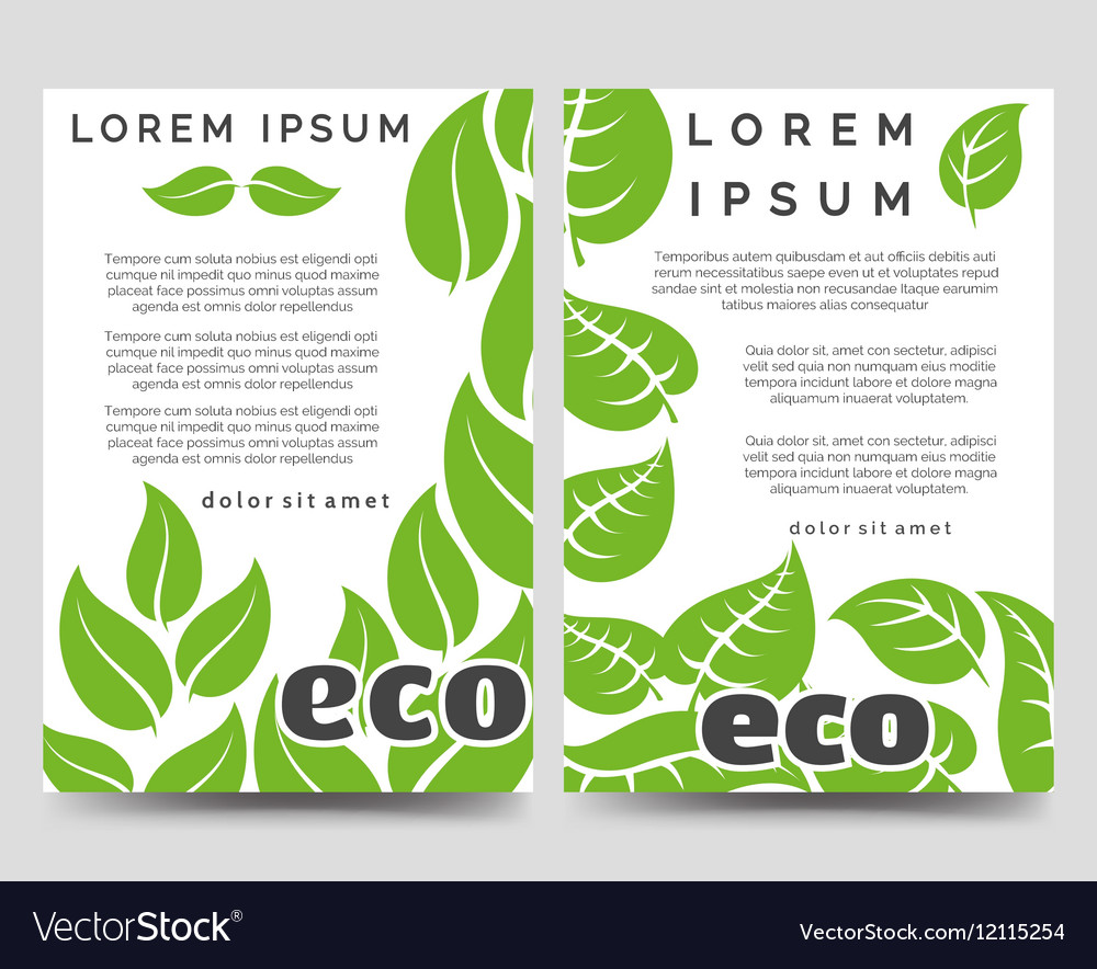 Eco Brochure Template With Green Leaves Royalty Free Vector