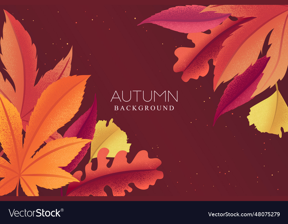 Botanical Background With Colorful Autumn Leaves Vector Image