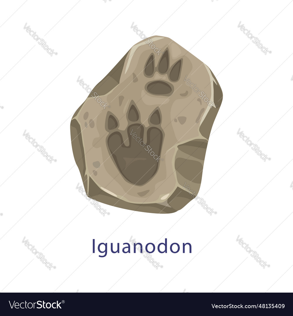 Ancient Dinosaur Footprint Fossil Stone Dino Foot Vector Image