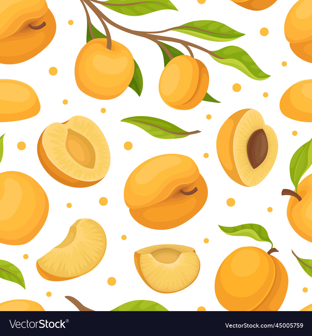 Apricot Seamless Pattern Design With Ripe Fruit Vector Image