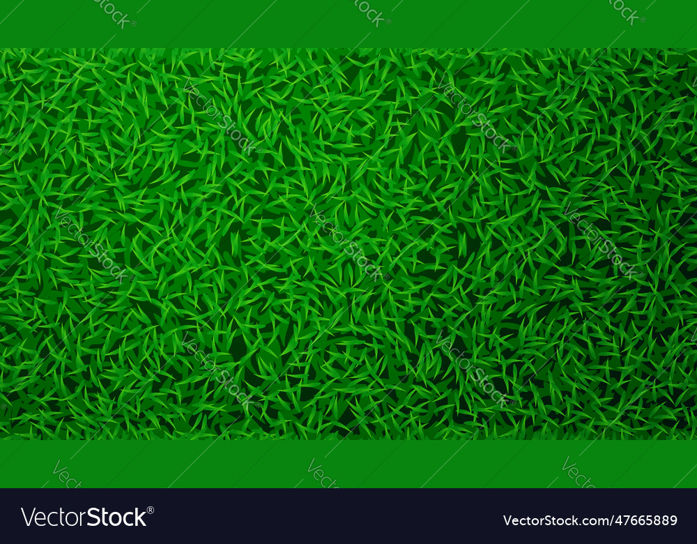 Green Color Lawn Grass Backdrop Top View Vector Image