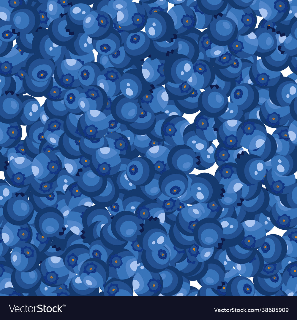 Seamless Pattern With Blueberry On White Vector Image