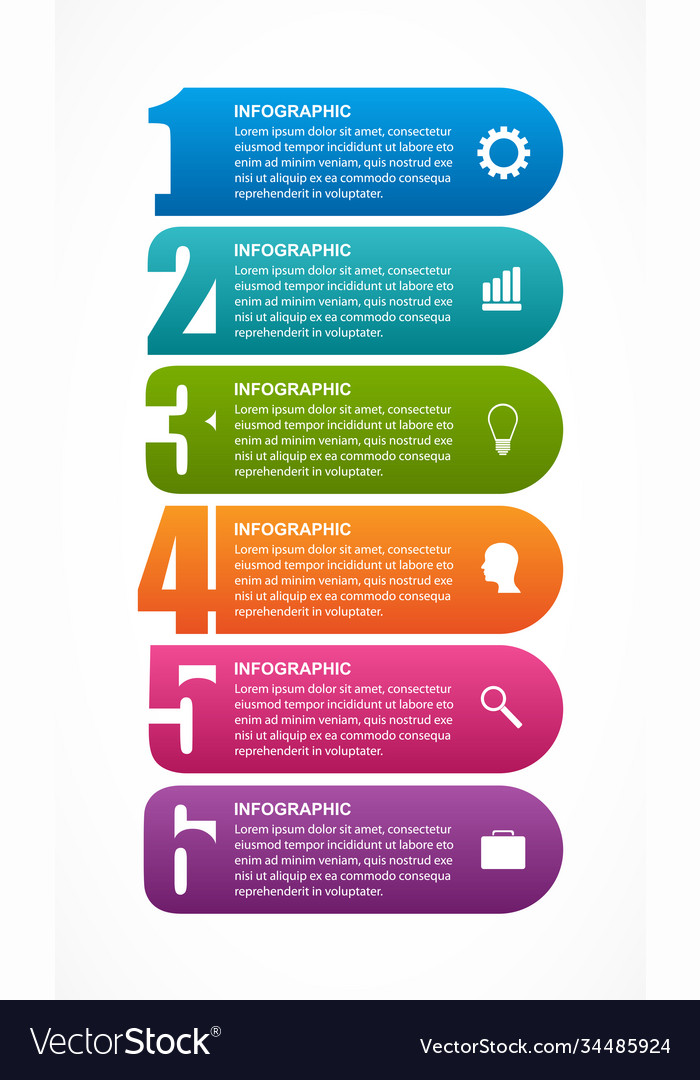 Infographics Template With Numbers Option Vector Image