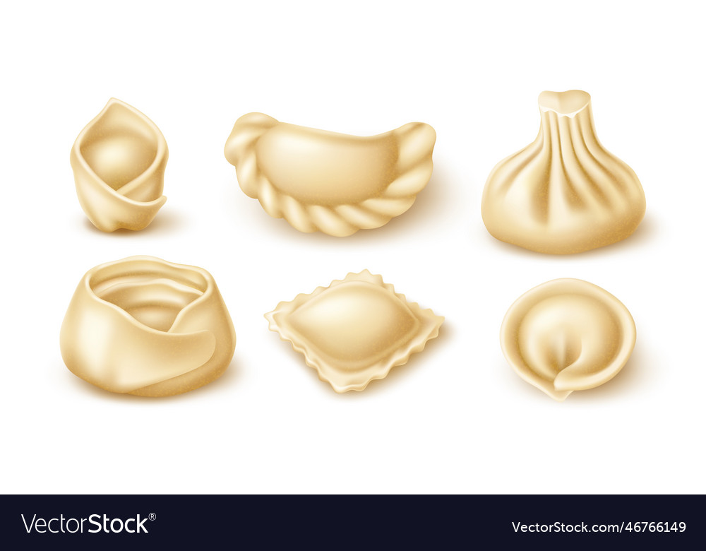 Realistic Dumplings Isolated Asian Italian Vector Image