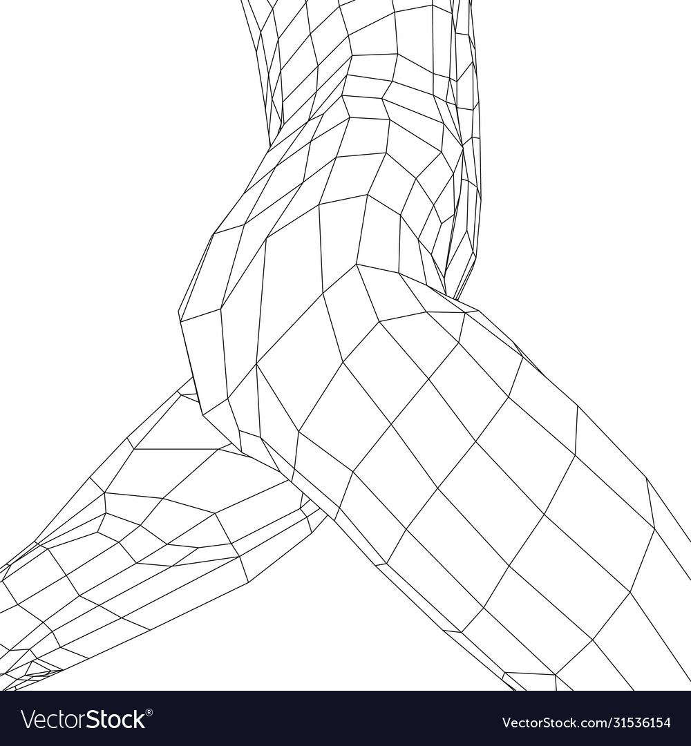 Beautiful Naked Woman Poses Female Body D Wireframe Vector Dipinti