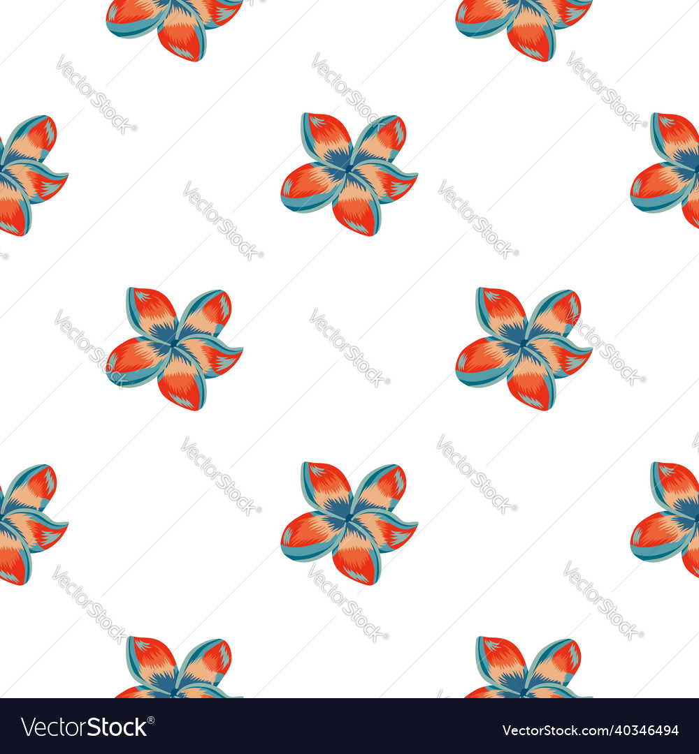 Plumeria Flower Seamless Pattern Isolated Vector Image