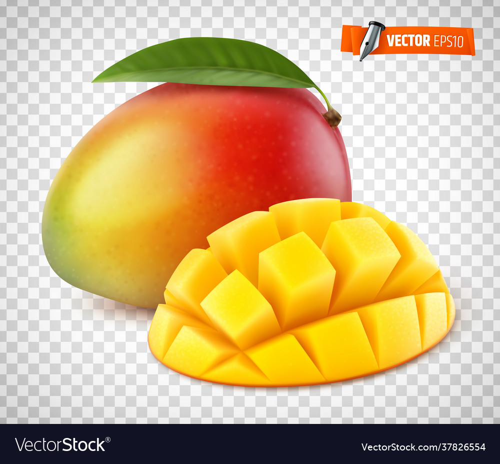 Realistic Mango Royalty Free Vector Image VectorStock