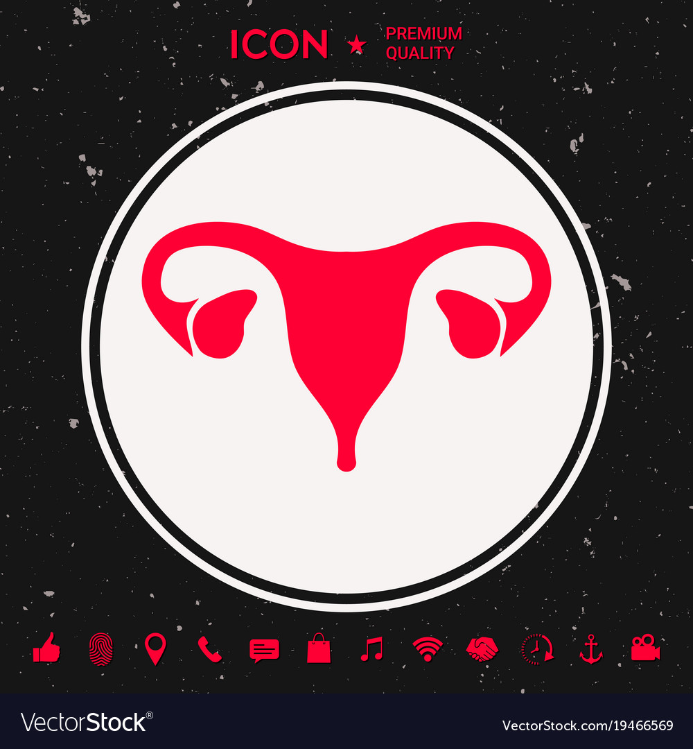 Human Organs Female Uterus Icon Royalty Free Vector Image