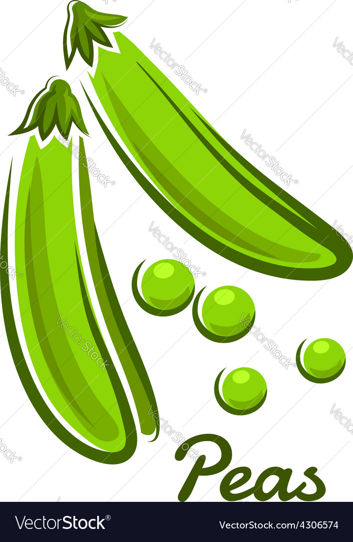 Green Pea Pods In Cartoon Style Royalty Free Vector Image