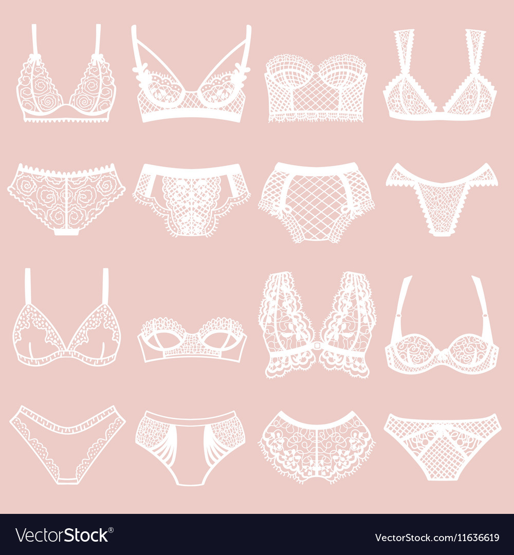 Collection Of Lingerie Panty And Bra Set Vector Image