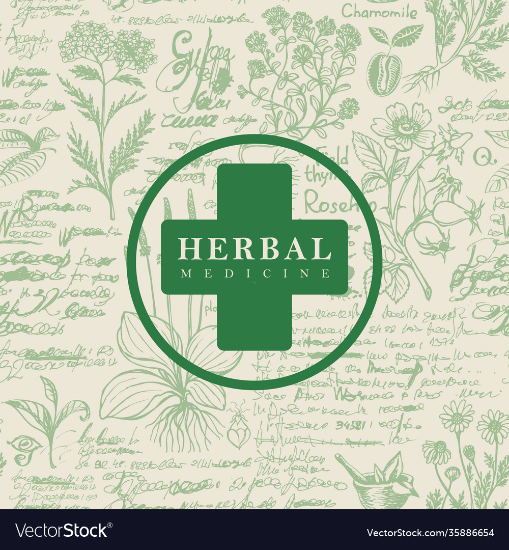 Banner For Herbal Medicine In Retro Style Vector Image