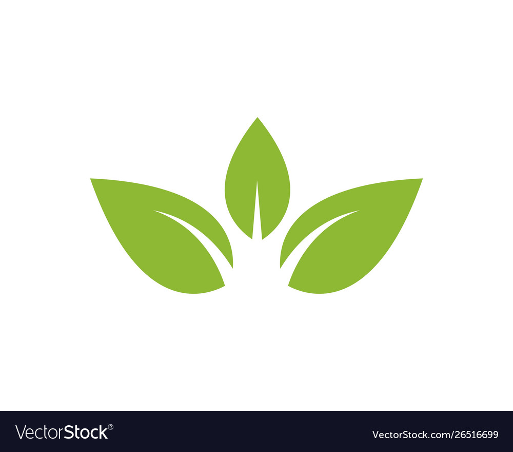 Green Leaf Ecology Nature Element Icon Go Vector Image