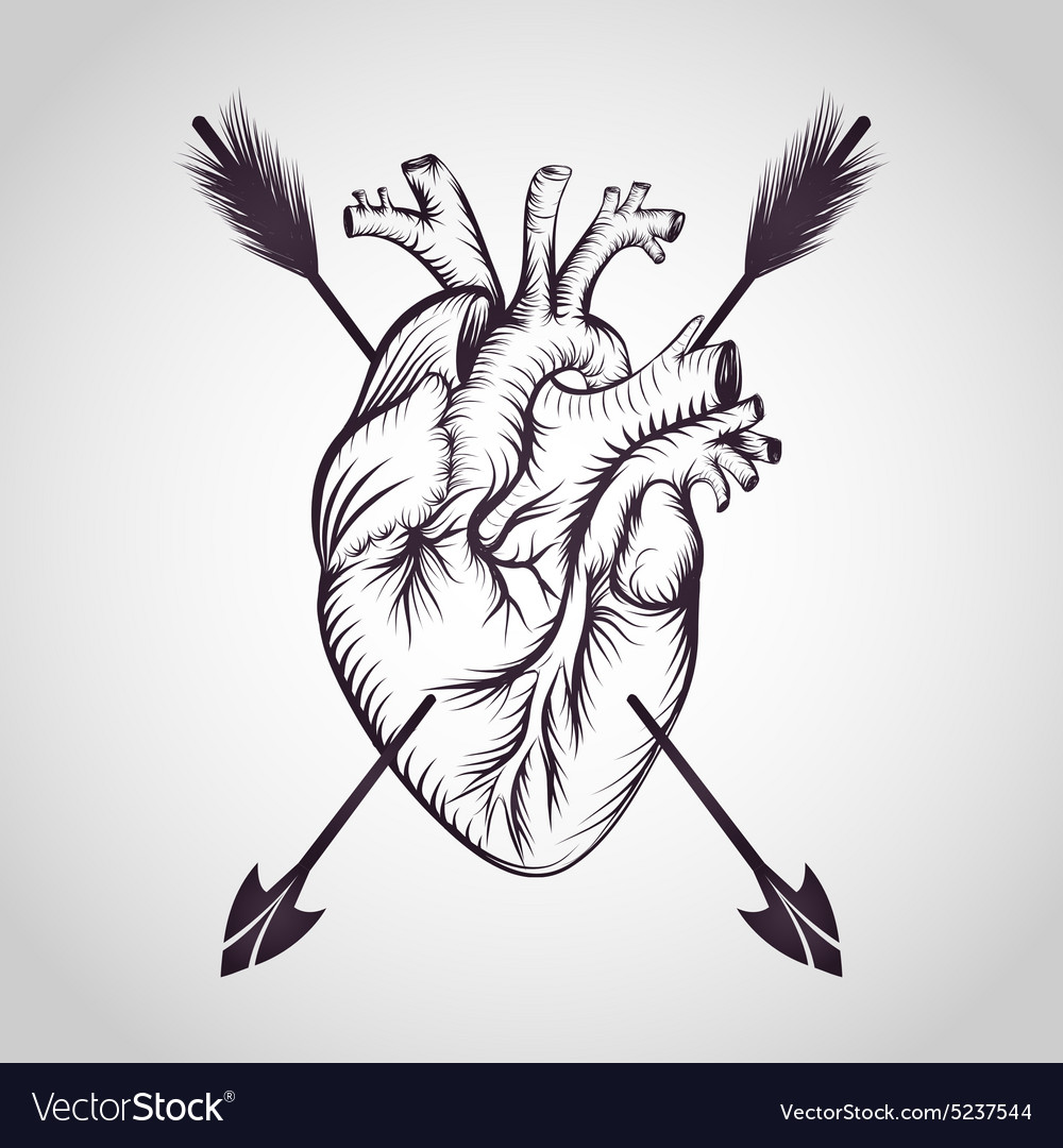 Heart Royalty Free Vector Image Vectorstock